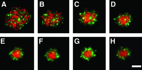 FIG. 2.