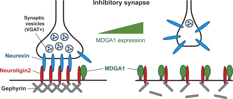 Figure 10.