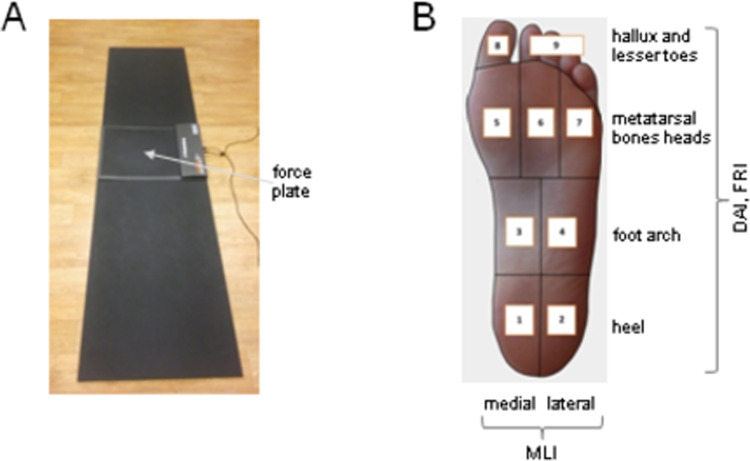 Fig 1