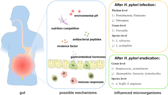 Figure 2