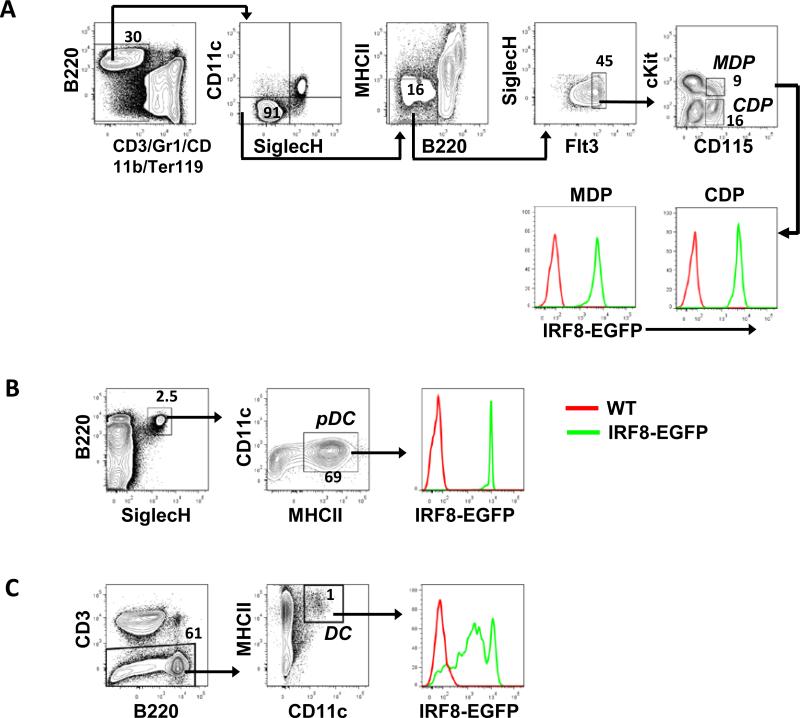 Fig. 6