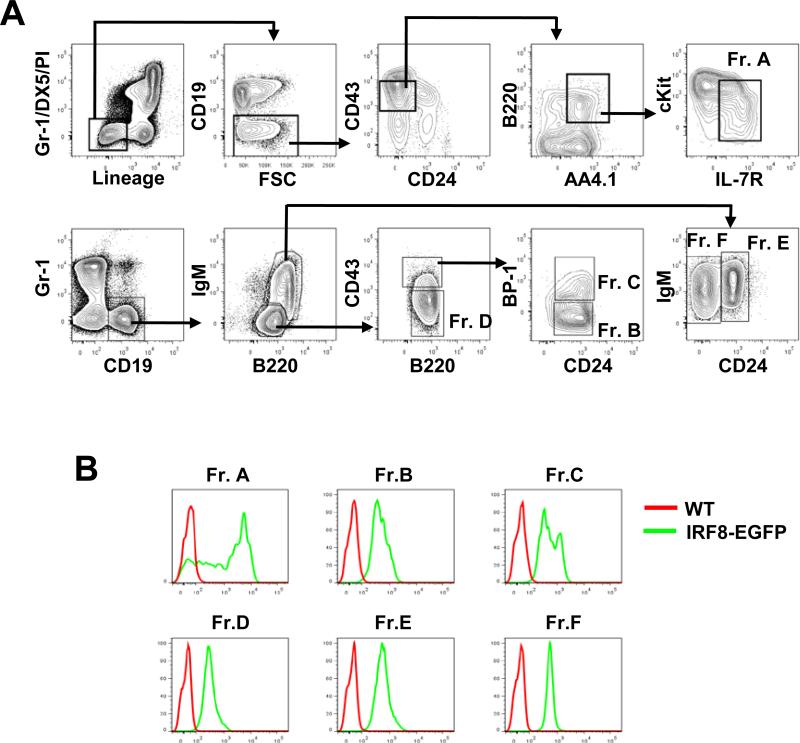 Fig. 4