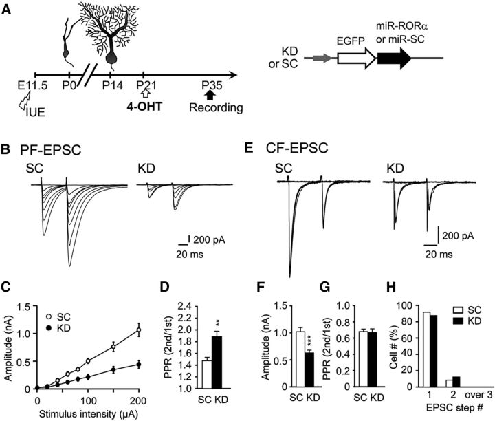 Figure 10.