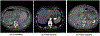 Fig. 9.