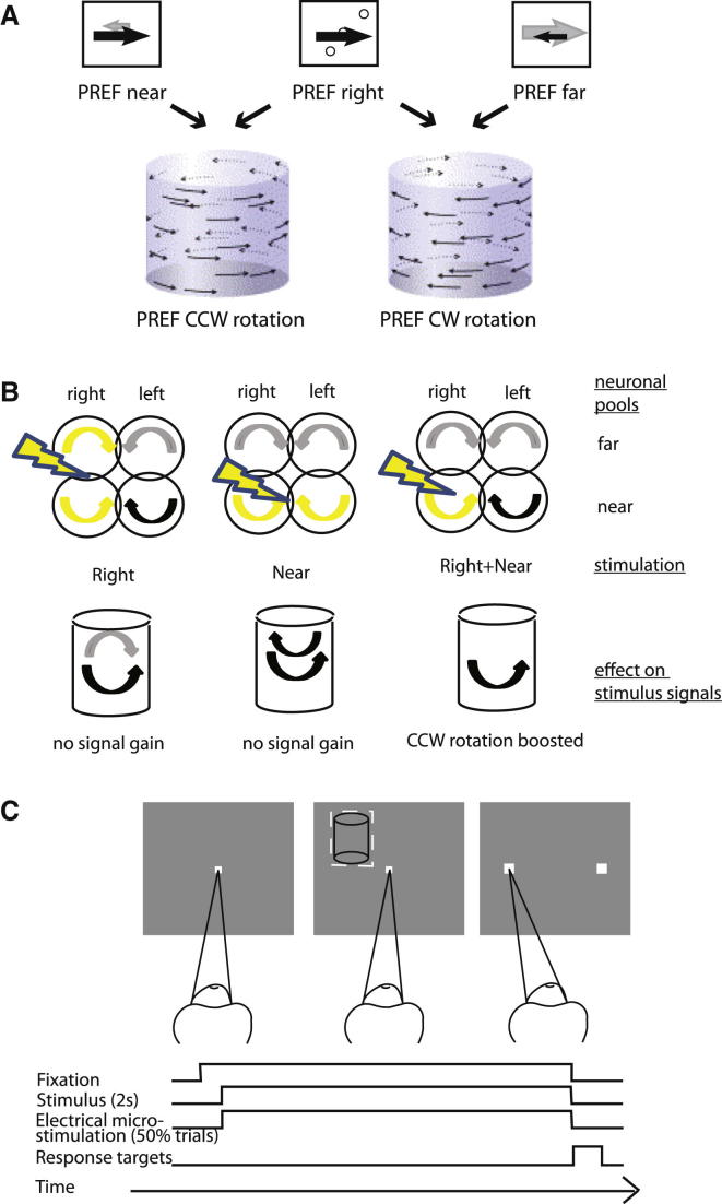 Figure 1