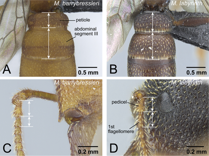 Figure 10.