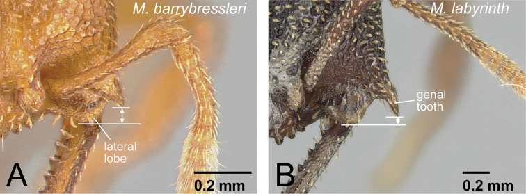 Figure 14.