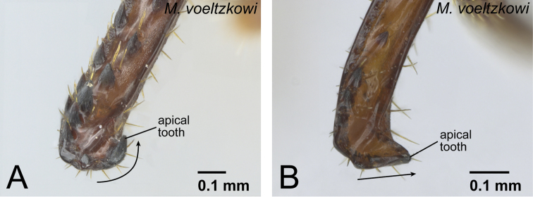 Figure 15.