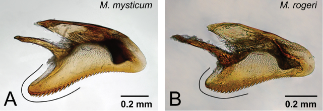 Figure 29.