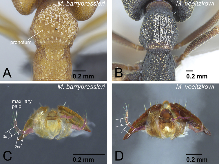 Figure 13.