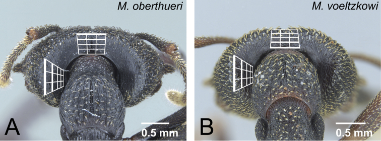 Figure 16.