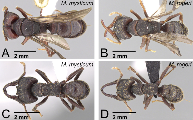 Figure 48.