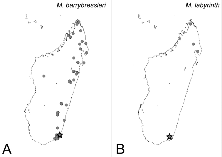 Figure 42.