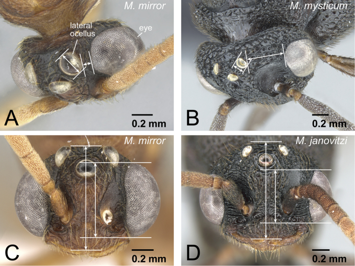 Figure 26.