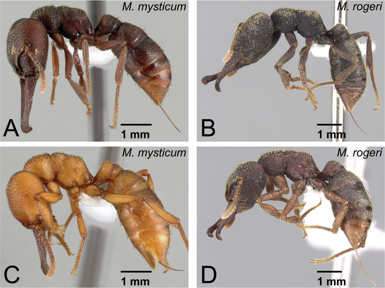 Figure 43.