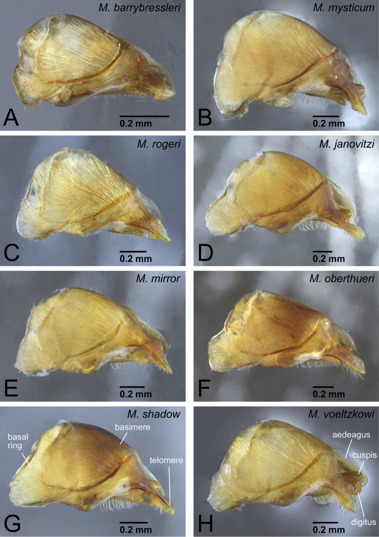 Figure 40.