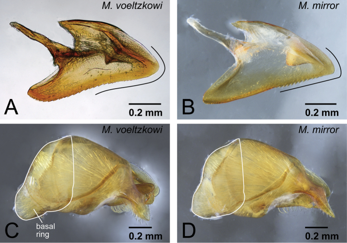 Figure 27.