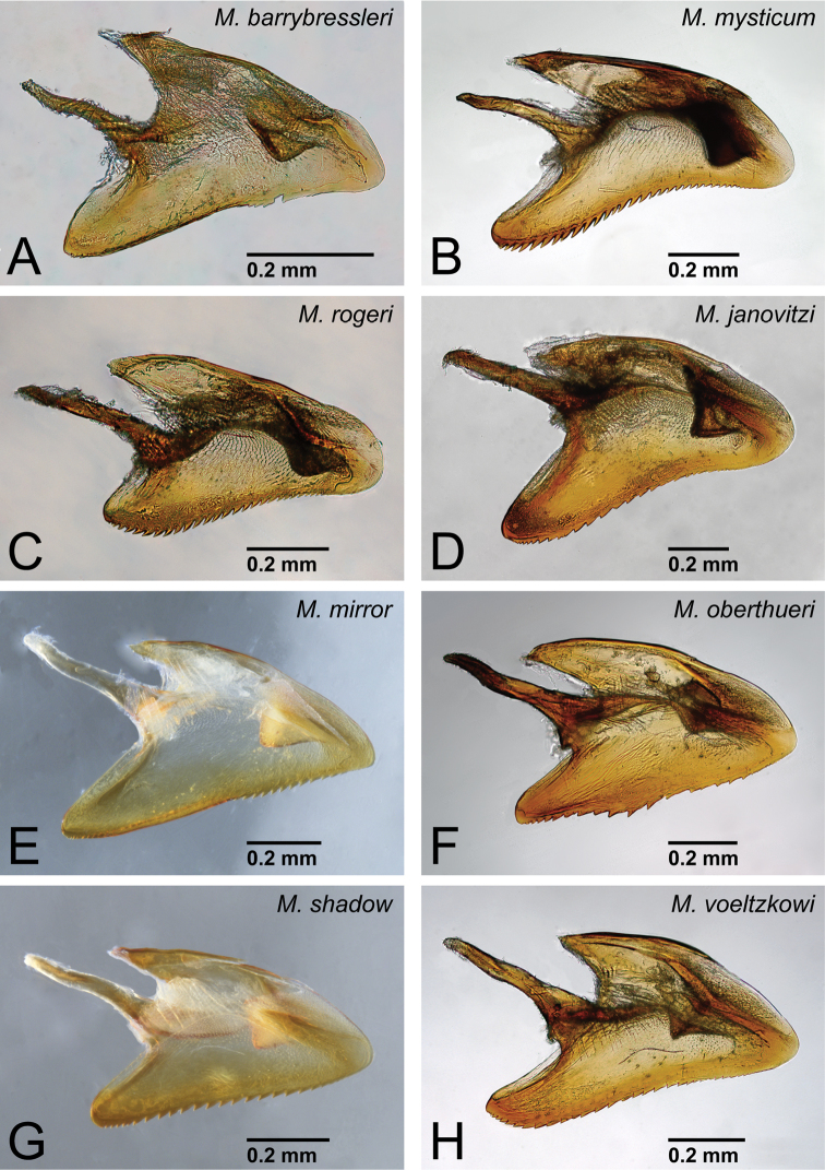 Figure 41.