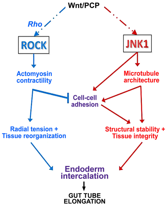 Fig. 8.