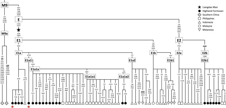 Figure 3