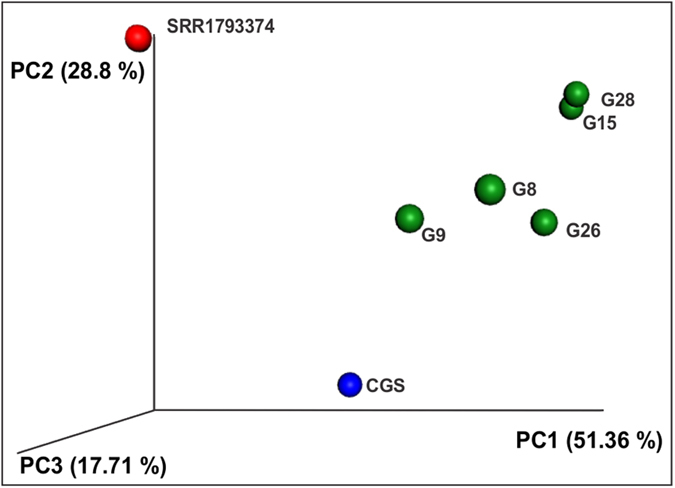 Figure 7