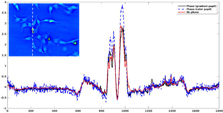 Fig. 7.