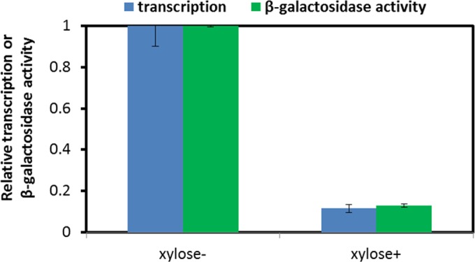 FIG 10