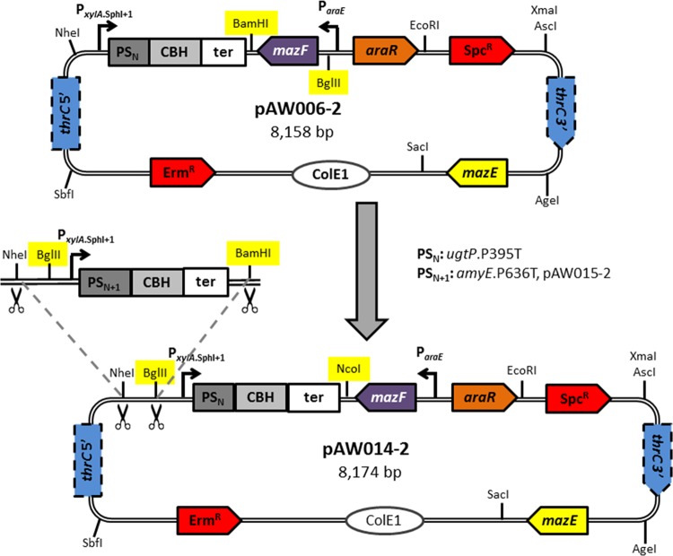 FIG 2