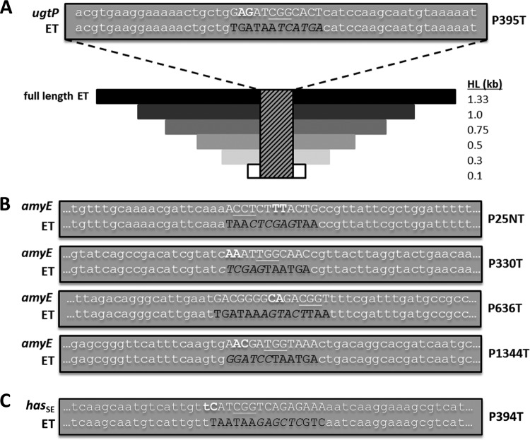 FIG 6