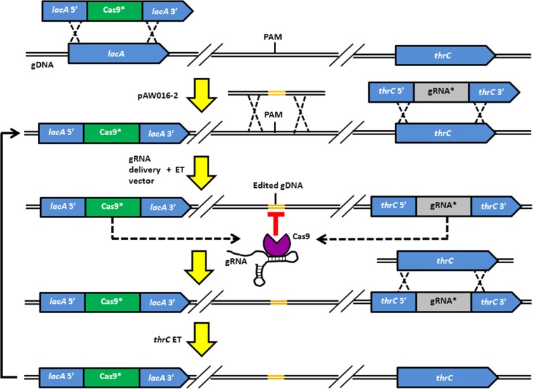 FIG 3