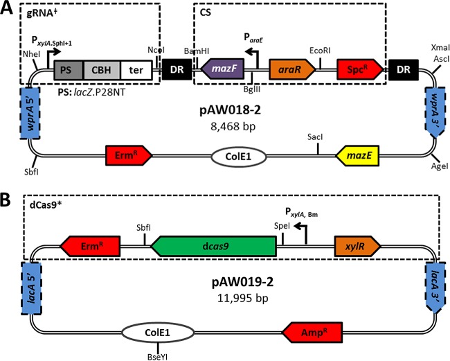 FIG 4