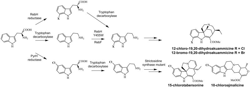 Figure 4