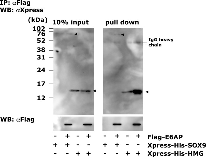 FIGURE 3.