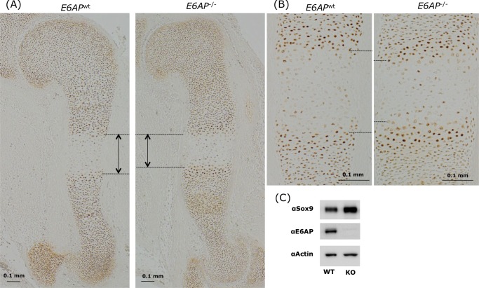 FIGURE 10.