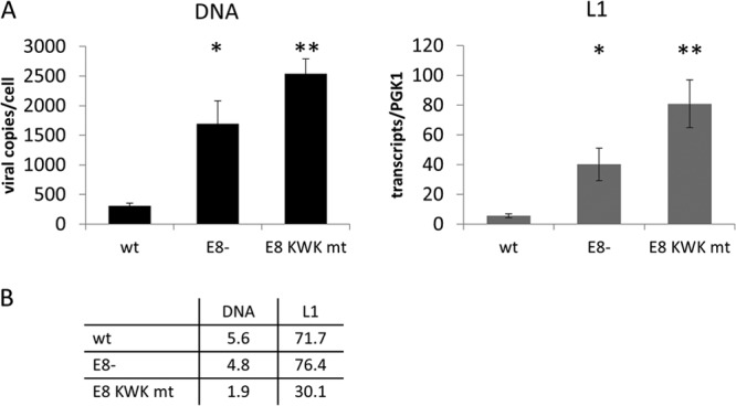 FIG 6