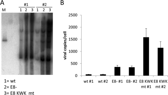 FIG 2