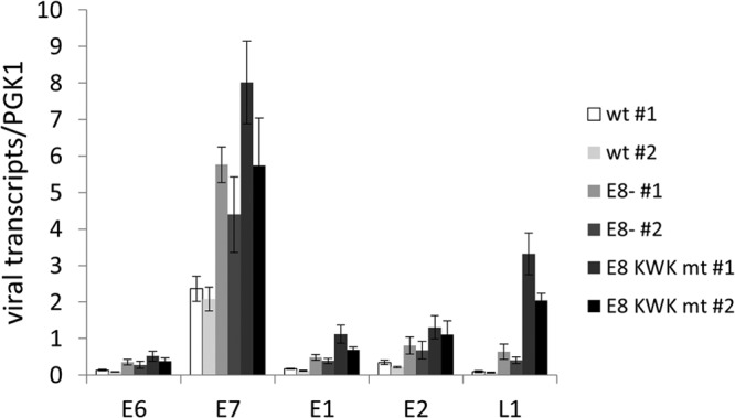 FIG 3