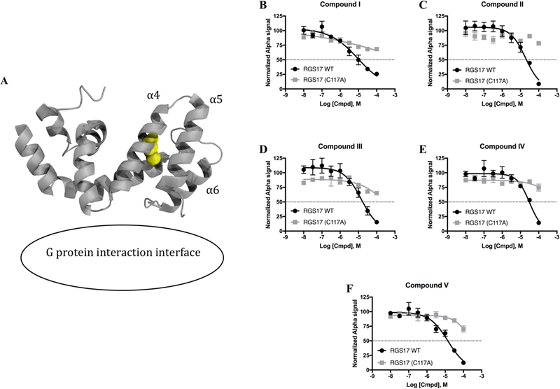 Figure 2 –