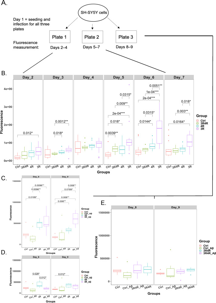 Fig 3