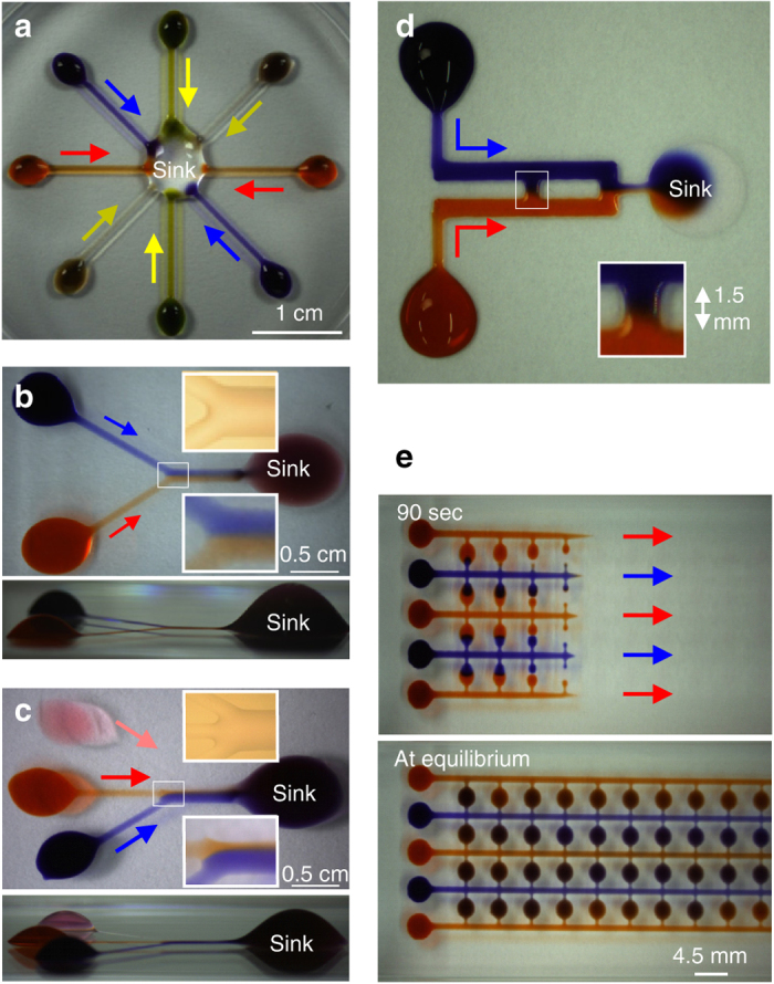 Fig. 3