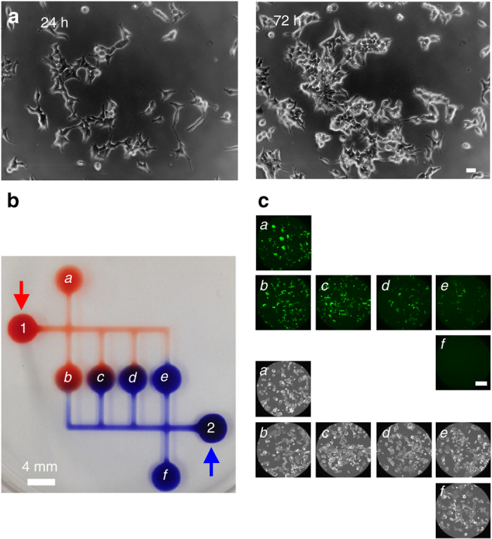 Fig. 4