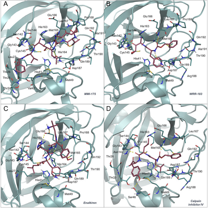 FIGURE 2