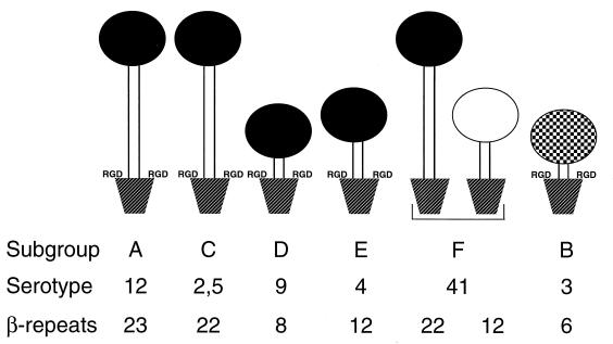 FIG. 6