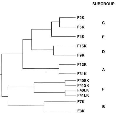 FIG. 1