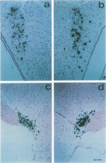 FIG. 5