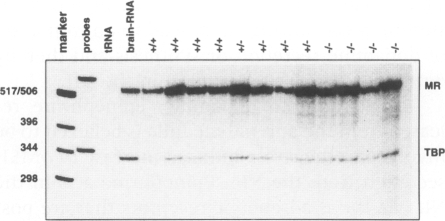 FIG. 6