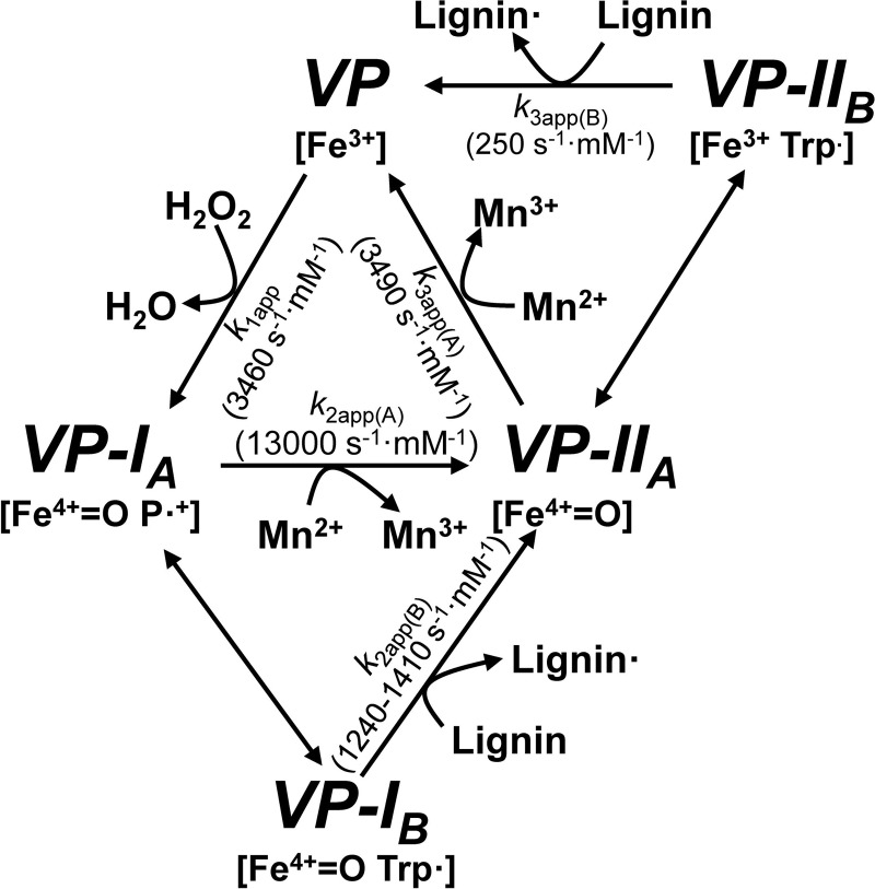 FIGURE 10.