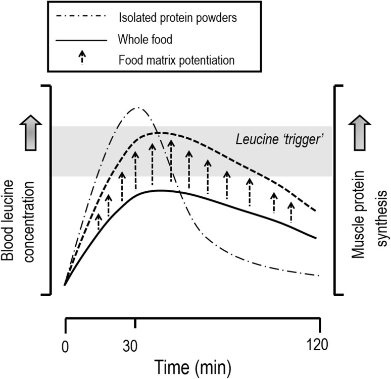 Fig. 1