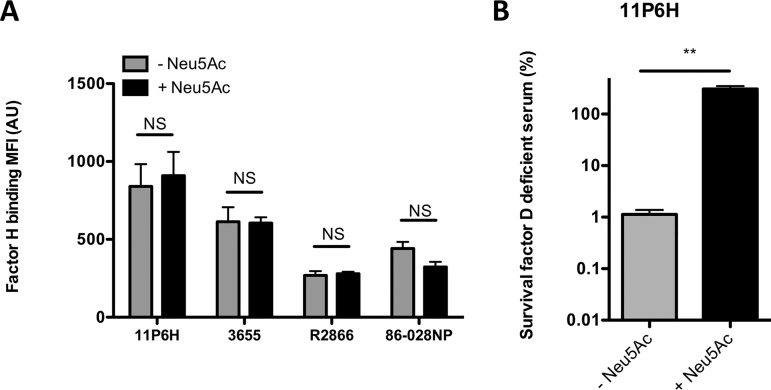 FIG 2