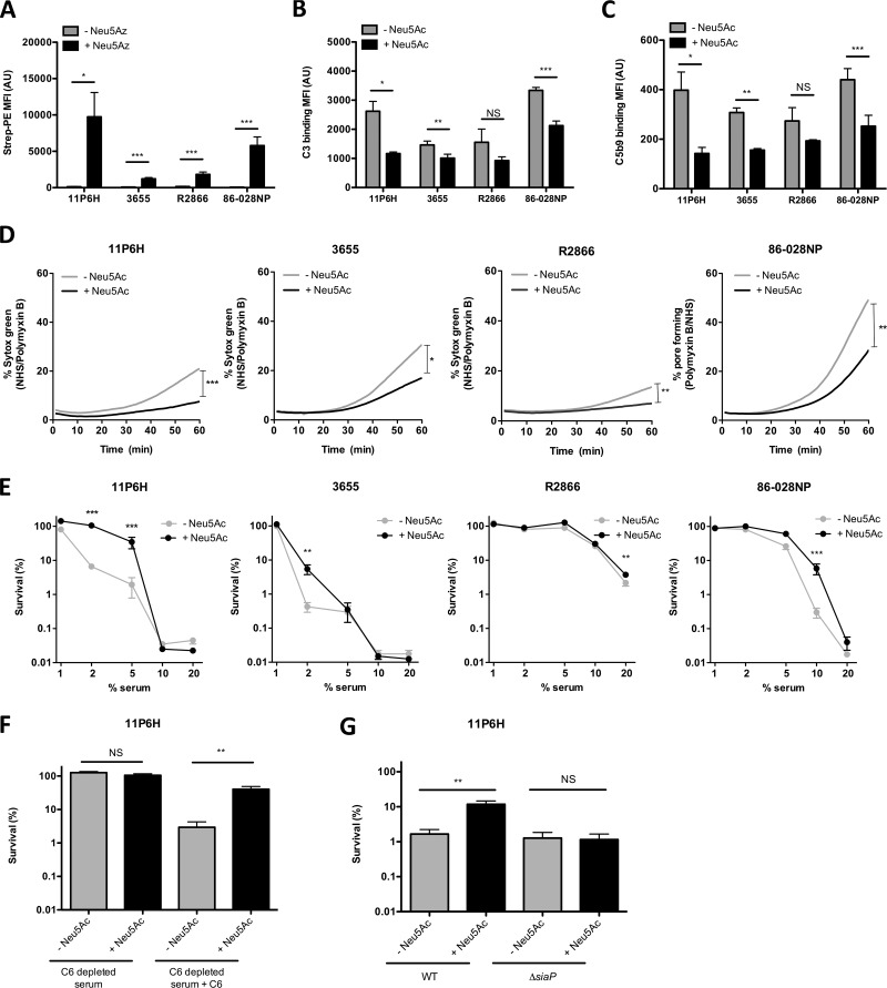 FIG 1